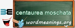 WordMeaning blackboard for centaurea moschata